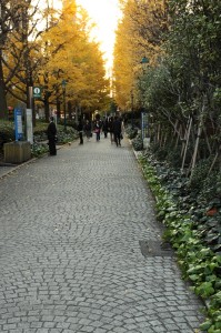 img_0021 焦点距離50mm ISO640 1/40 F10