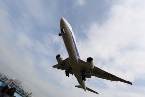 img_4098 最初に撮った写真。構図もぐちゃぐちゃ。