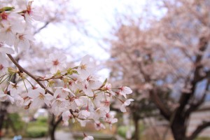 img_0019 img_0019