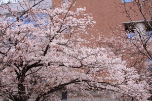 img_0025 img_0025