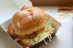 IMG_0047 チキンタツタ