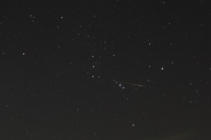 IMG_2802-1 オリオン座をちょうど横切った流星。肉眼ではもっと明るかった。