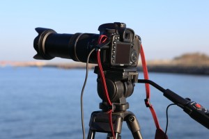 camera-closeup 今回は手抜きでTAMRON 18-270mm使ってます。