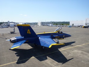 P1000110
