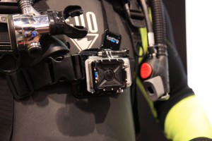 IMG_9406