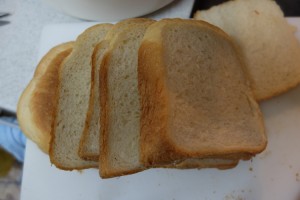 DSCF2206