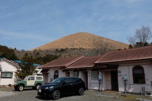 枯れススキに覆われた大室山。