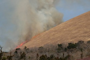 炎が踊るように山肌を這ってくる。