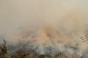 炎の輻射熱が顔に当たってくる。熱くはないがあったかい。