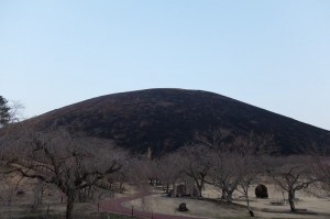 ついでに大室山のさくらの里からも見てみる。真っ黒くろすけ