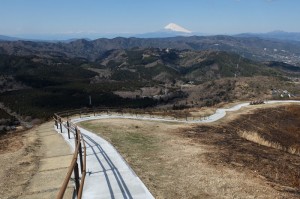 通路は整備されていて歩きやすい。