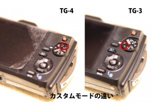 TG4-custom